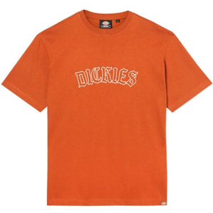 Dickies Union Springs T-Shirt - Gingerbread